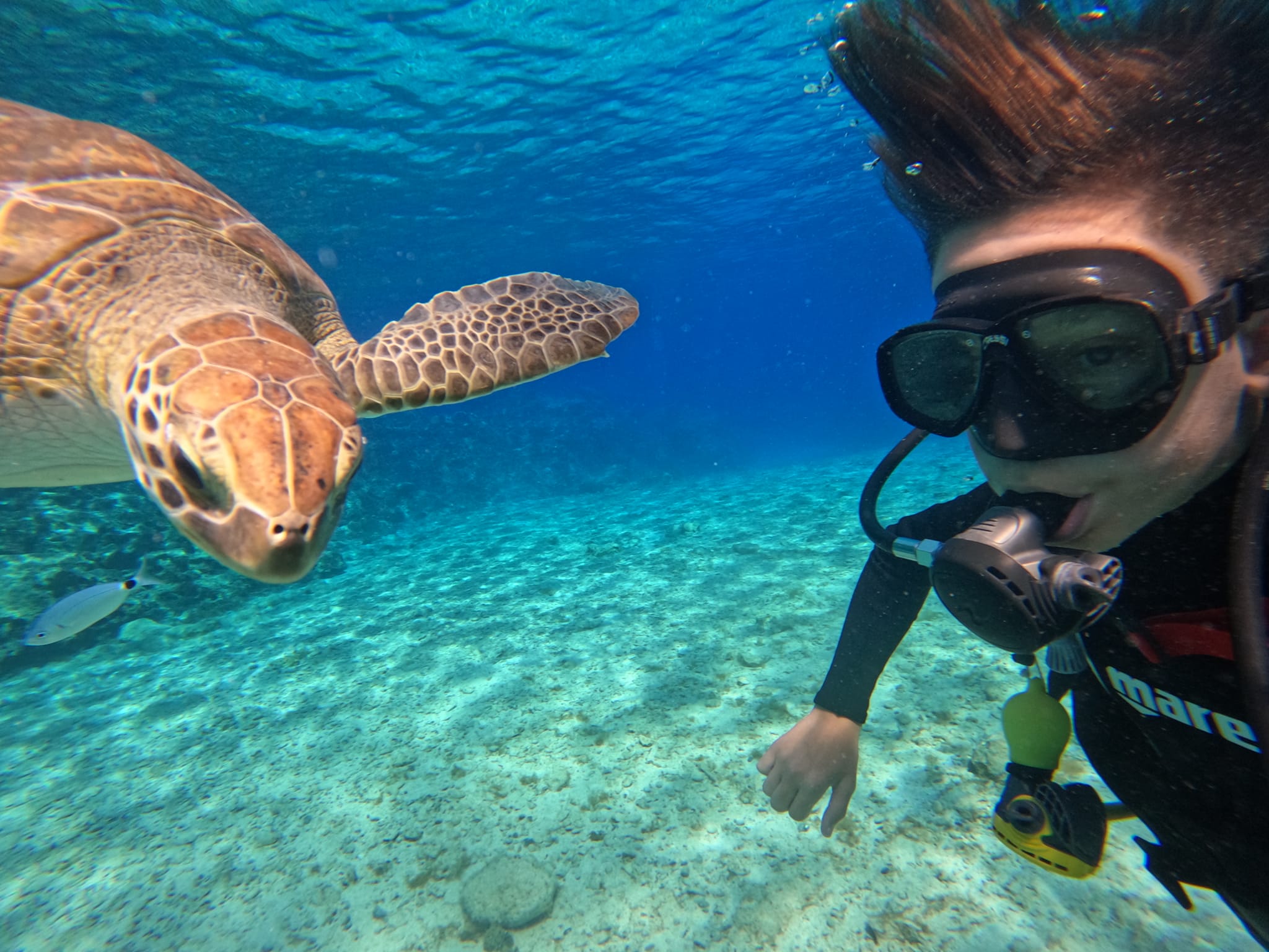 DCIM100GOPROGOPR4449.JPG