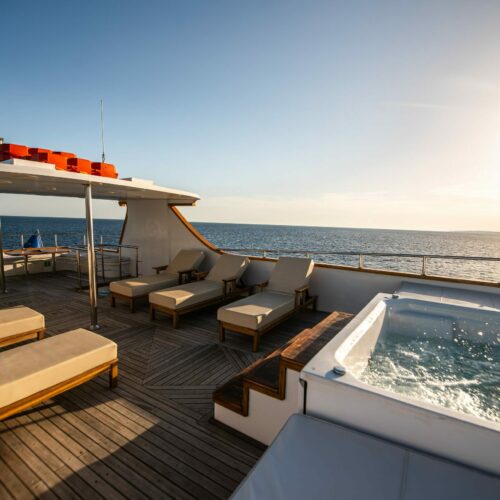 Ocean_QUEEN_2